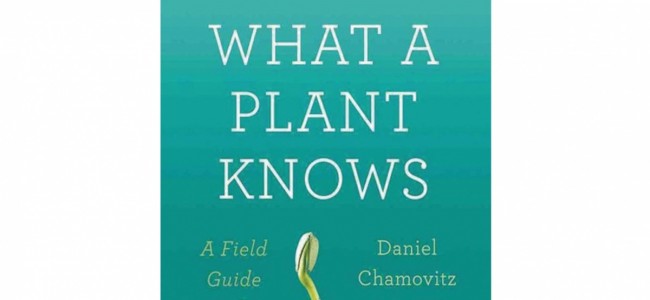 What a Plant Knows 《植物知道生命的答案》